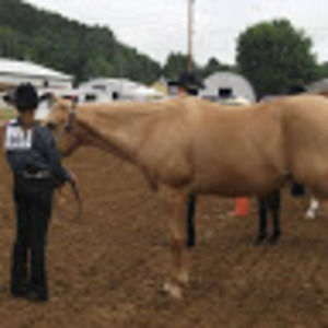 Meet your Posher, Heidi